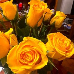 BEAUTIFUL ROSES TO SEE FOR MY FOLLOWERS